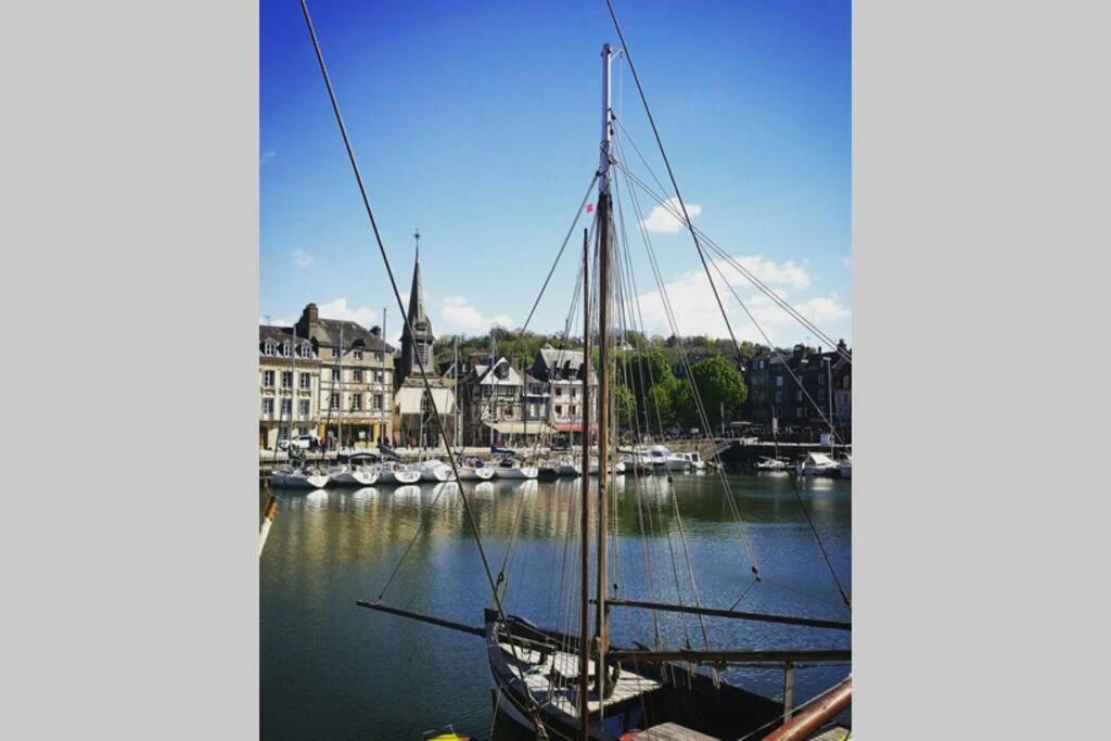 Une Pause Chez Julien, Appartement Lumineux Et Idealement Situe! Honfleur Ngoại thất bức ảnh